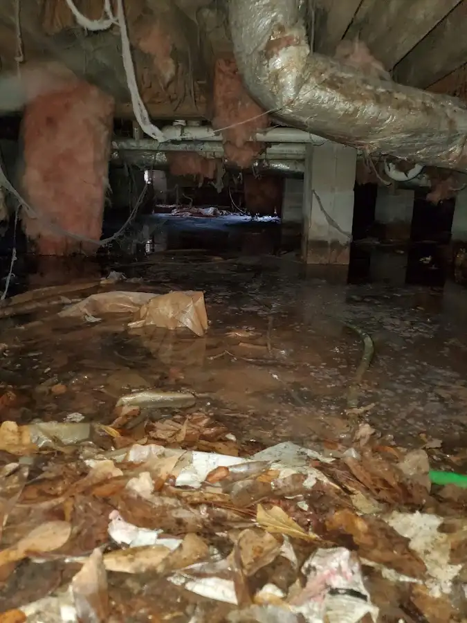 Crawl space flood assessment for Leak Detection & Repair in Warren